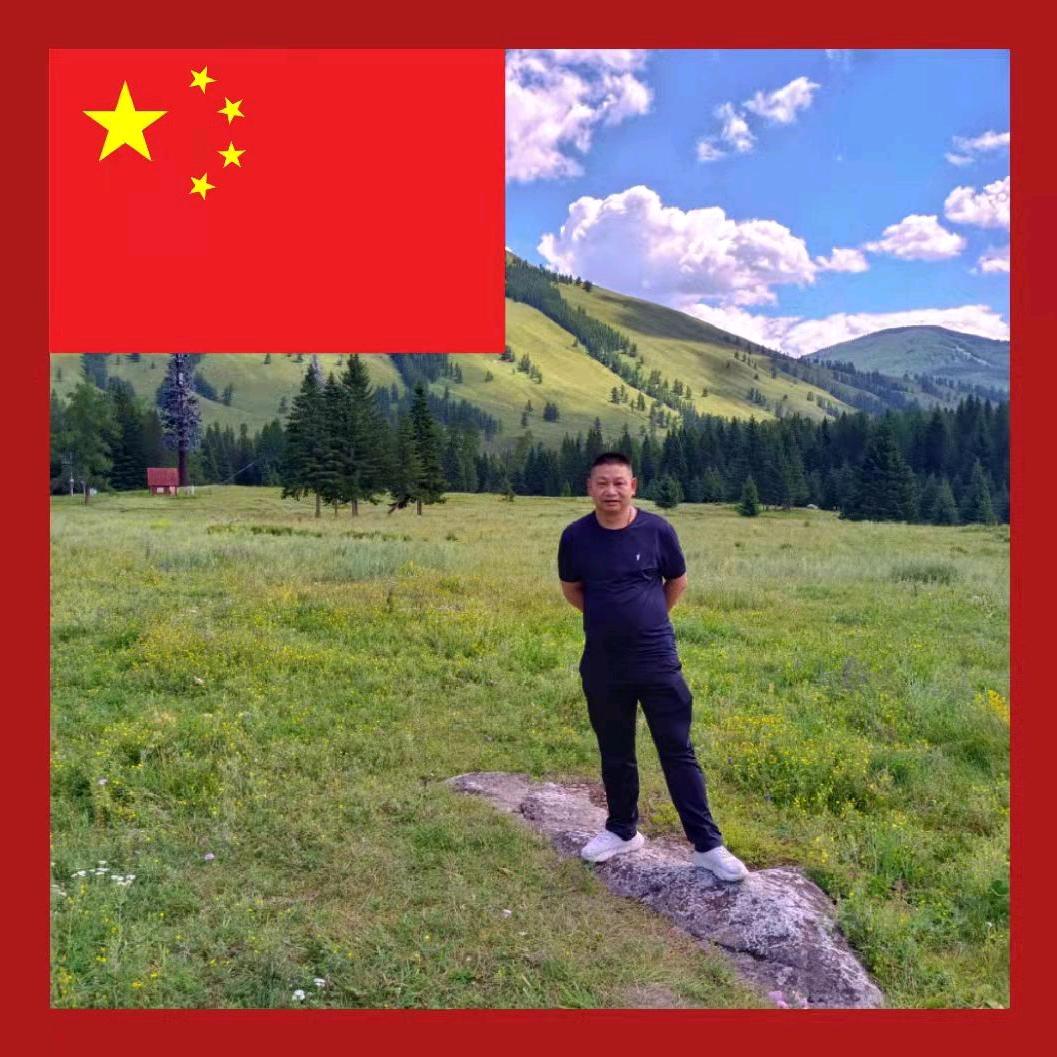 杨红