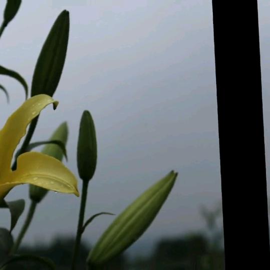 ཌ左ༀ转遇༒到黎