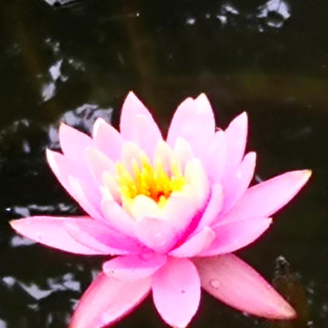 结