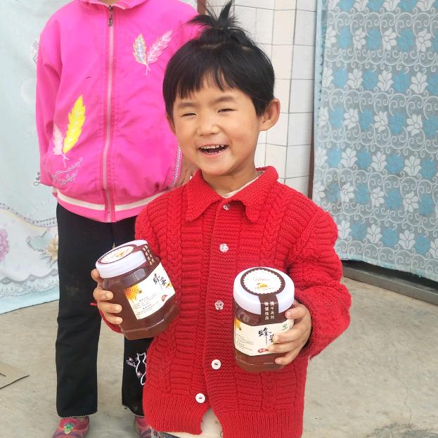 向前走（神龙中蜂）