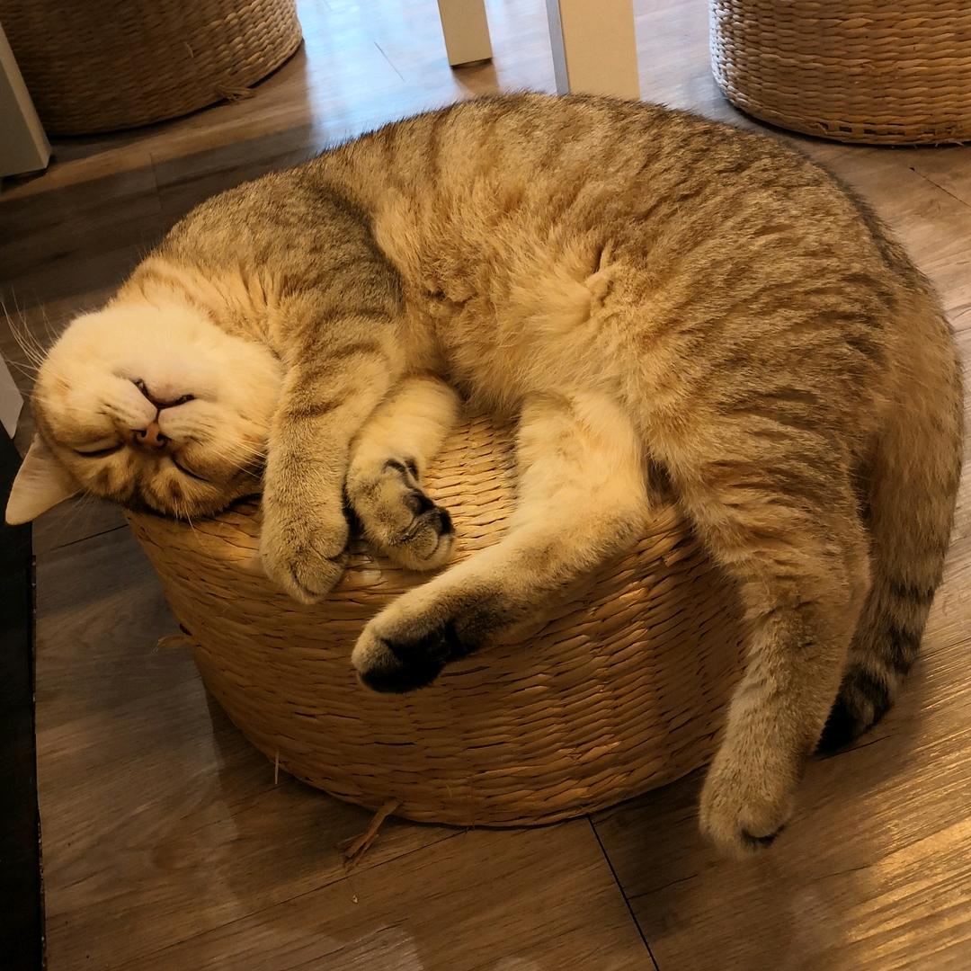 早午晚餐