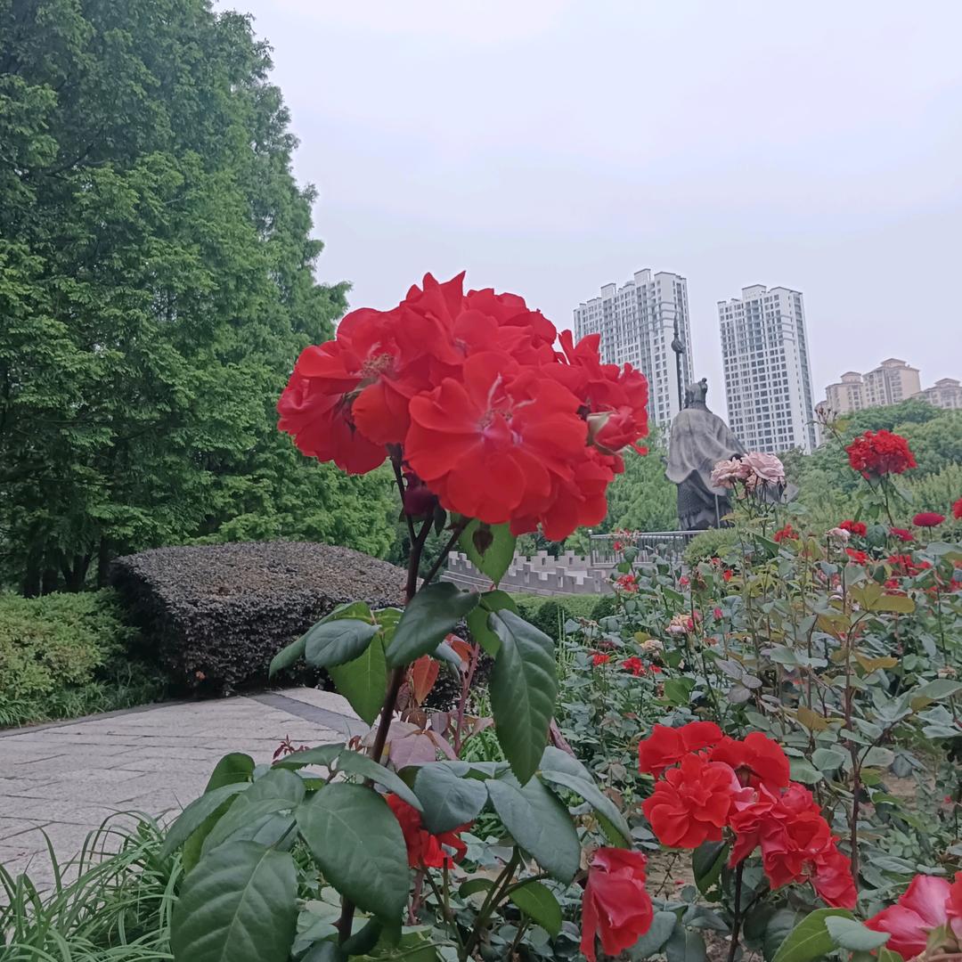 每一天：为明天