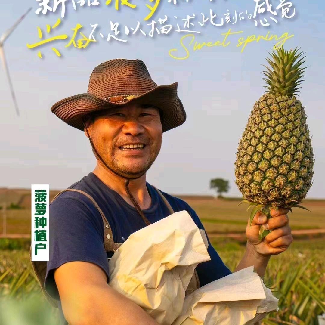 海南田歌生态农业有限公司