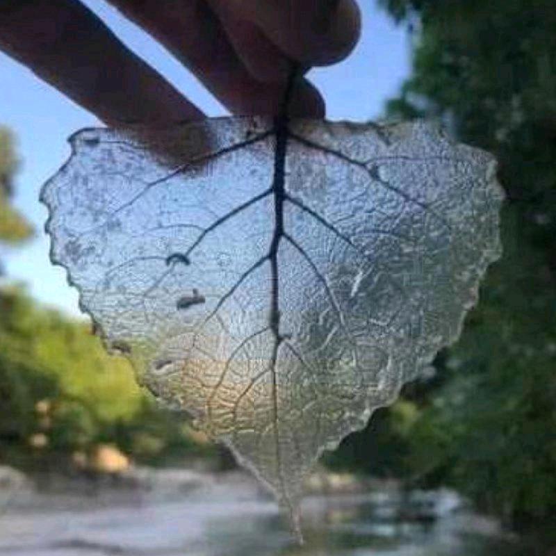 一生都在蜜罐里（请勿连赞）