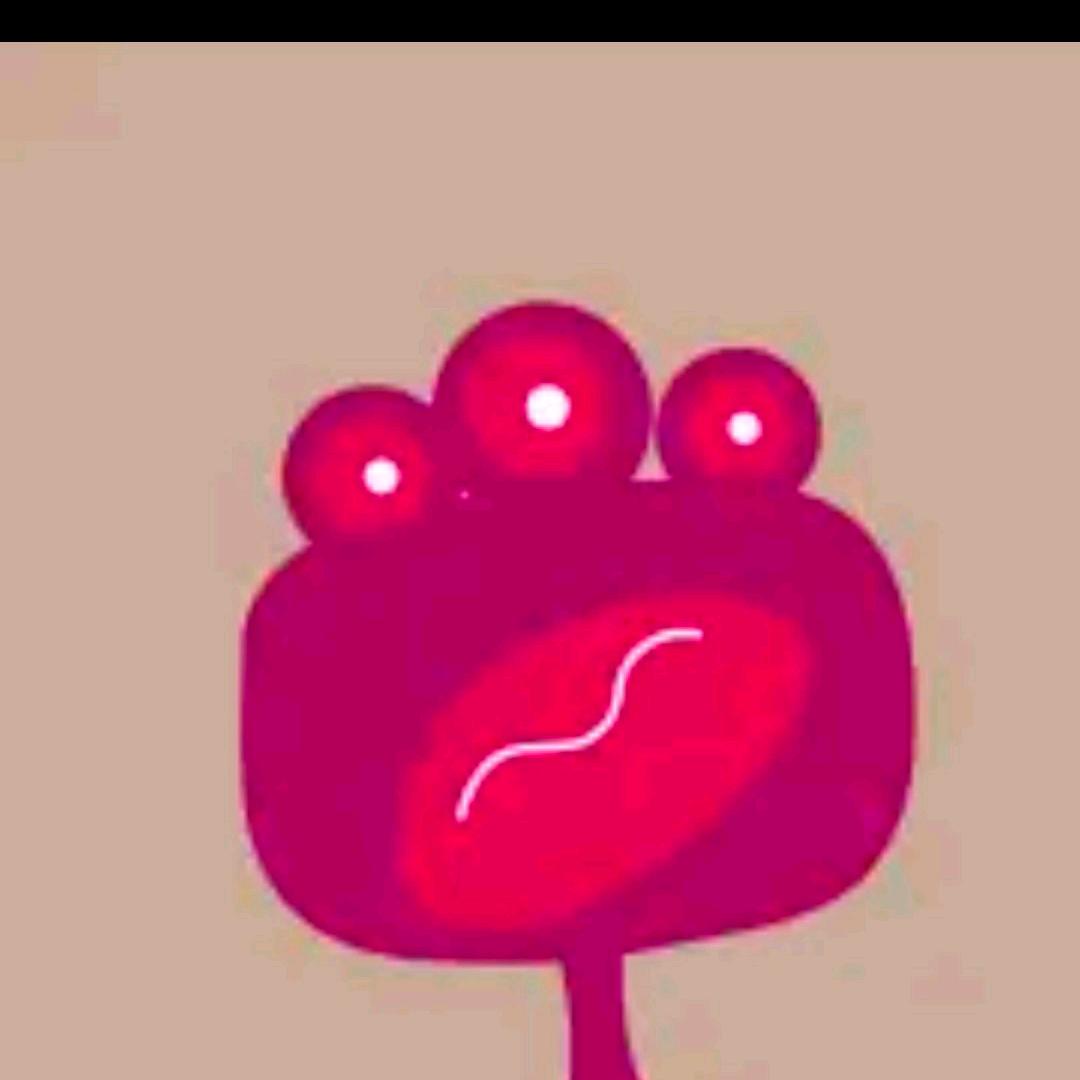 敦煌市飞华汽修~~黑玫瑰