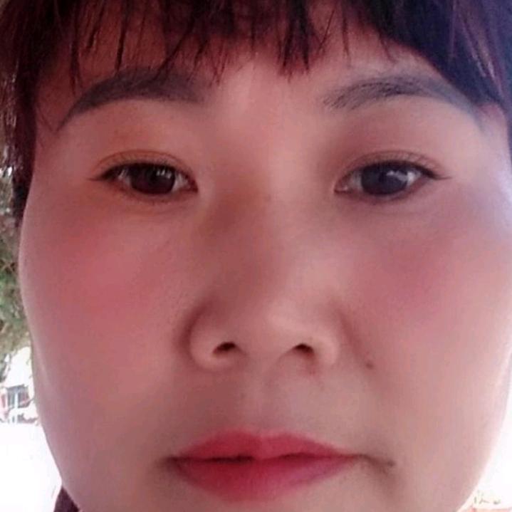 雪中琴