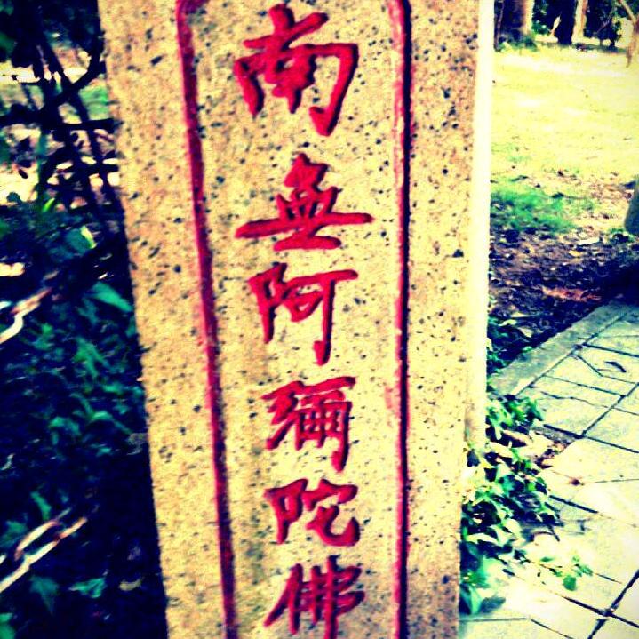 悟空LCZ666
