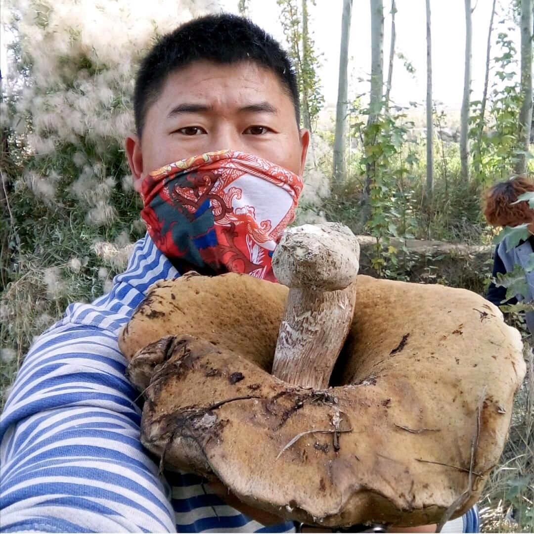 倔强的明睿