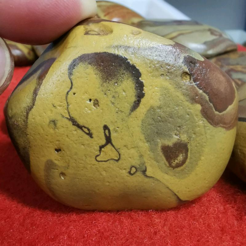 风临野渡