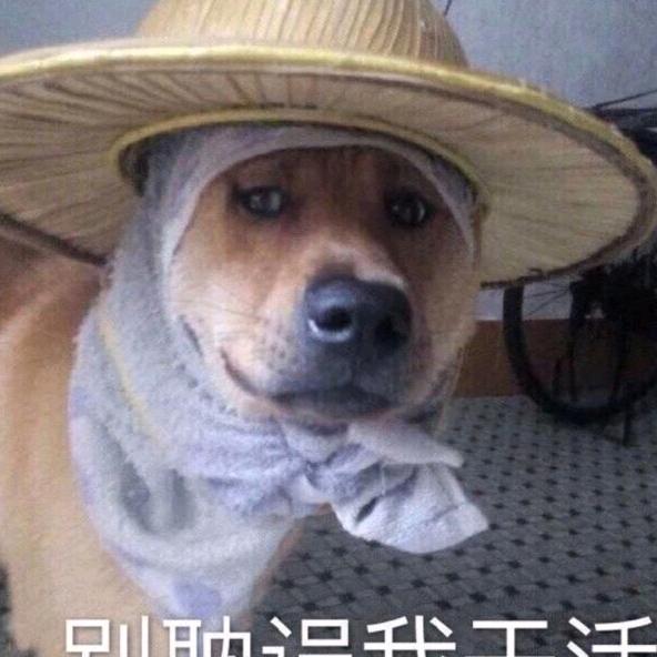 枫大兄弟