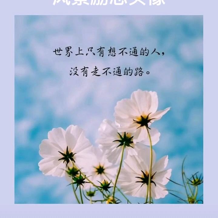 英子
