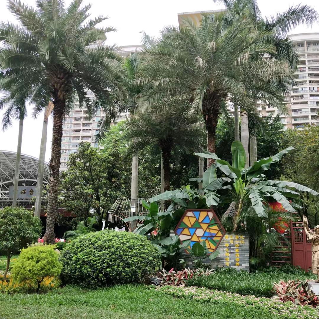 小湿弟