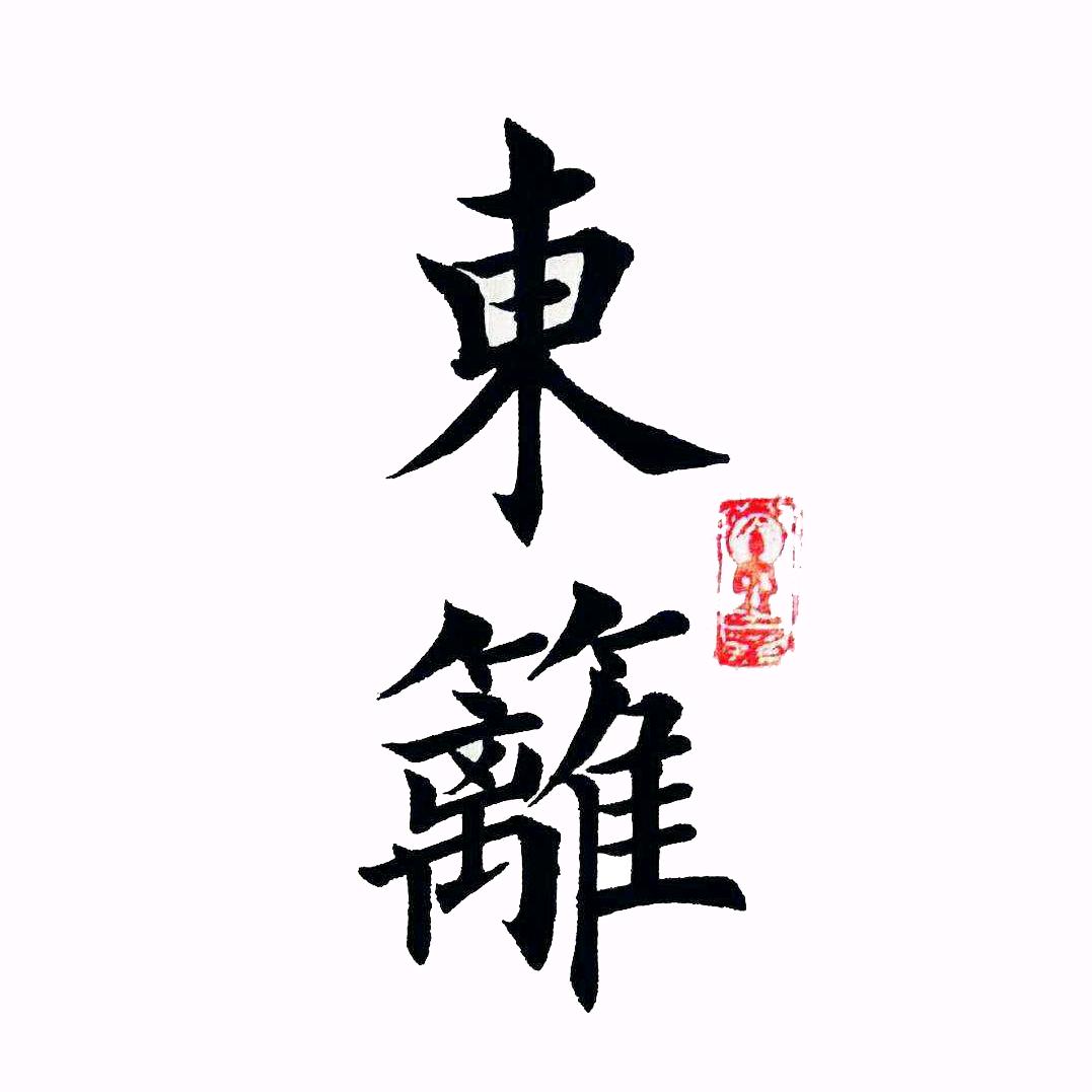 东篱视觉