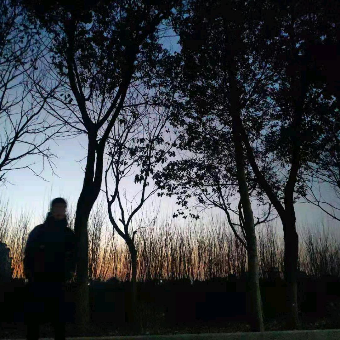 涛✧
