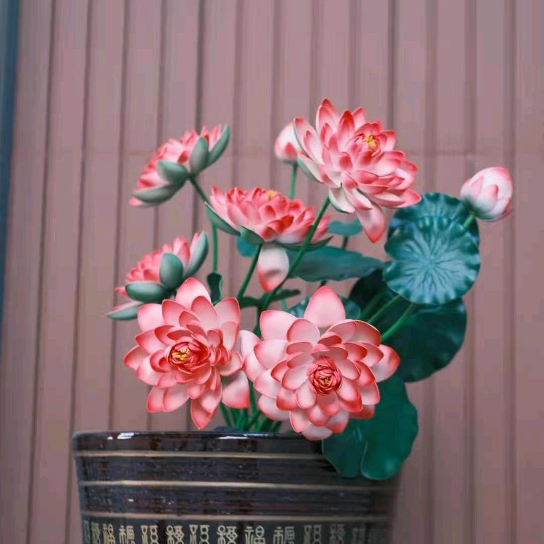 雪绒飘香🌺