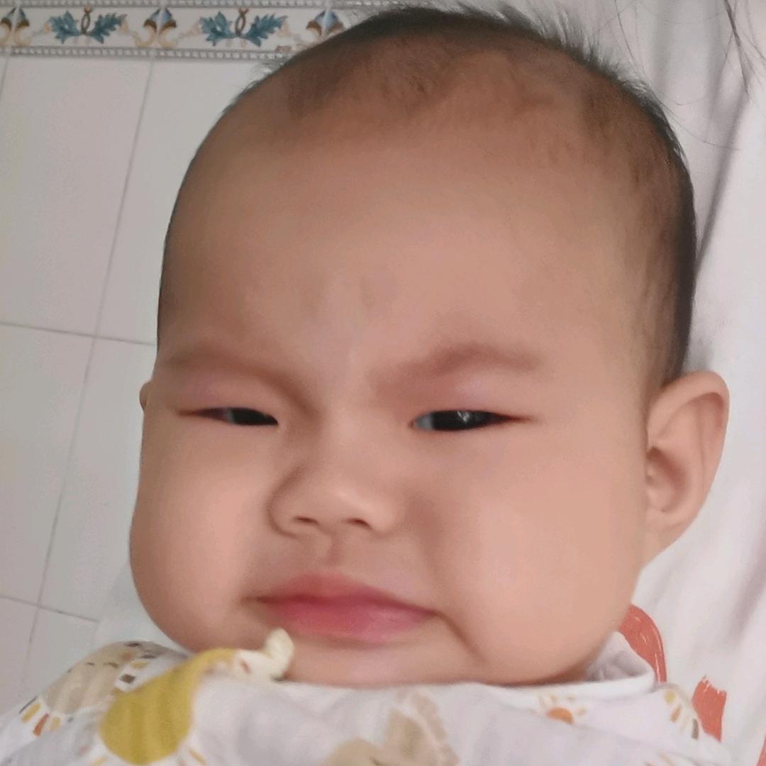汐崽我的宝