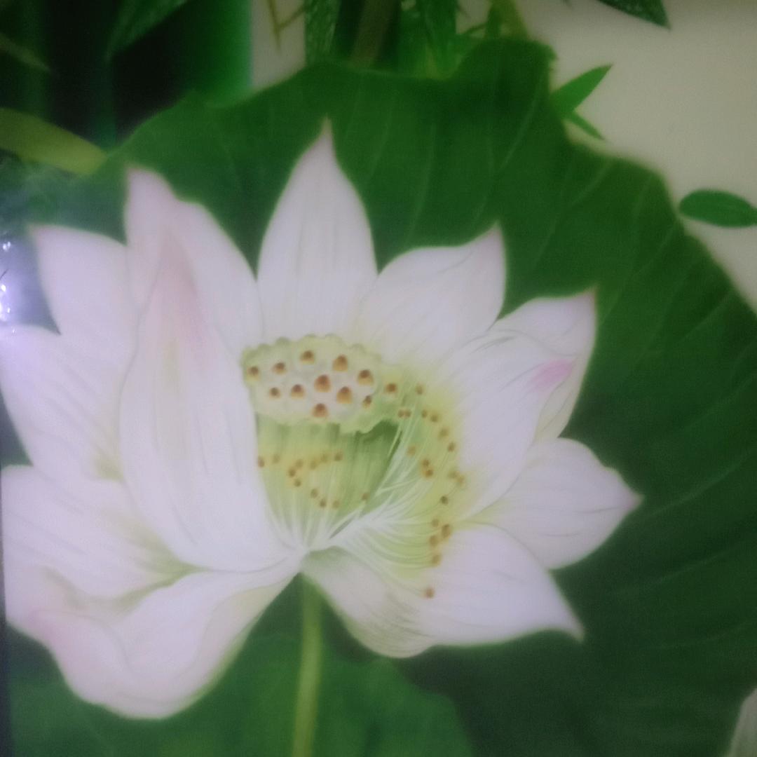 一生快乐