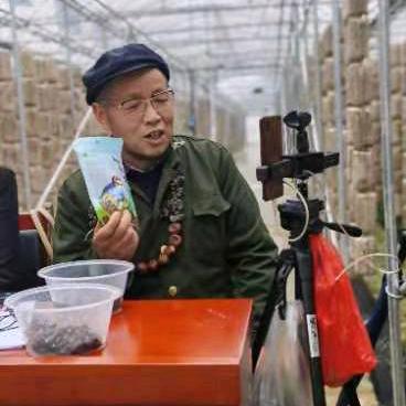 陕南农村大叔
