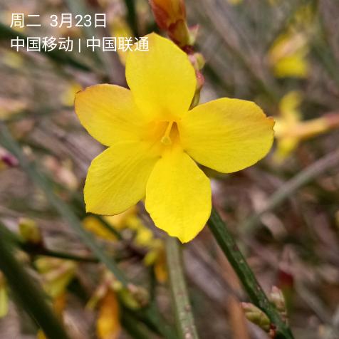 ☾石马，江记面馆