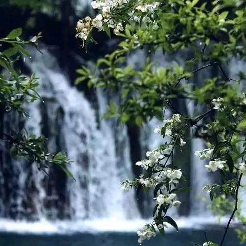 岁月静好  ⁵¹⁰⁰¹