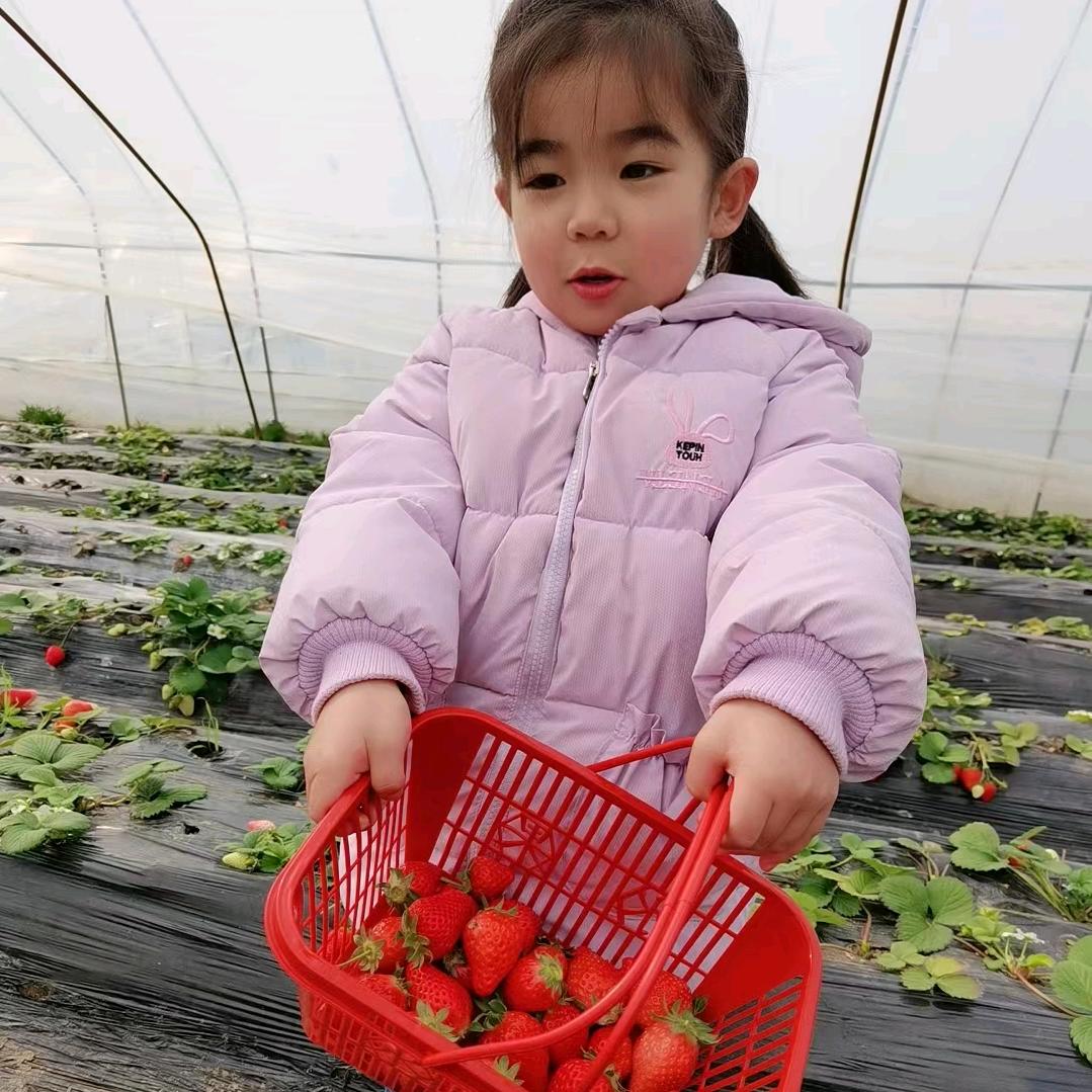 老顽童