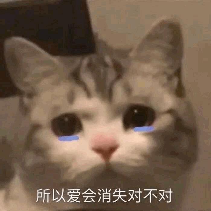 可怜晞晞头像