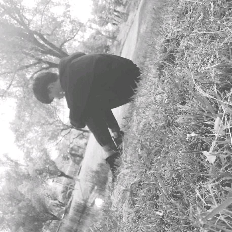 刺