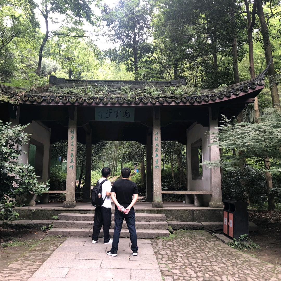 沈八都