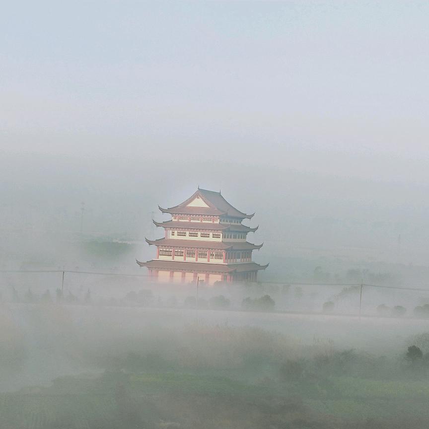 任岭岭