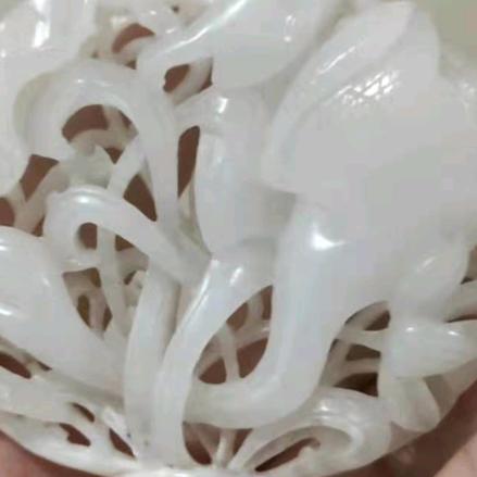 关注小七多时了