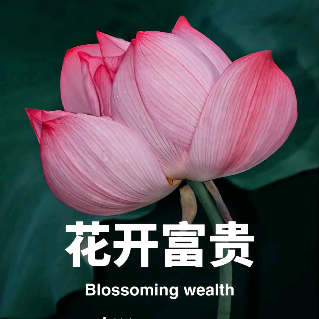 红娘王姐