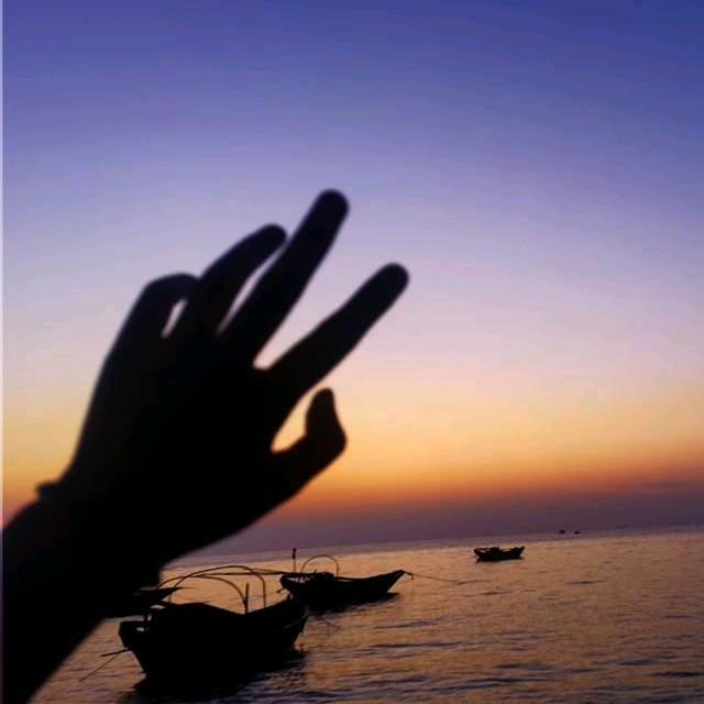 或然音乐风景赏