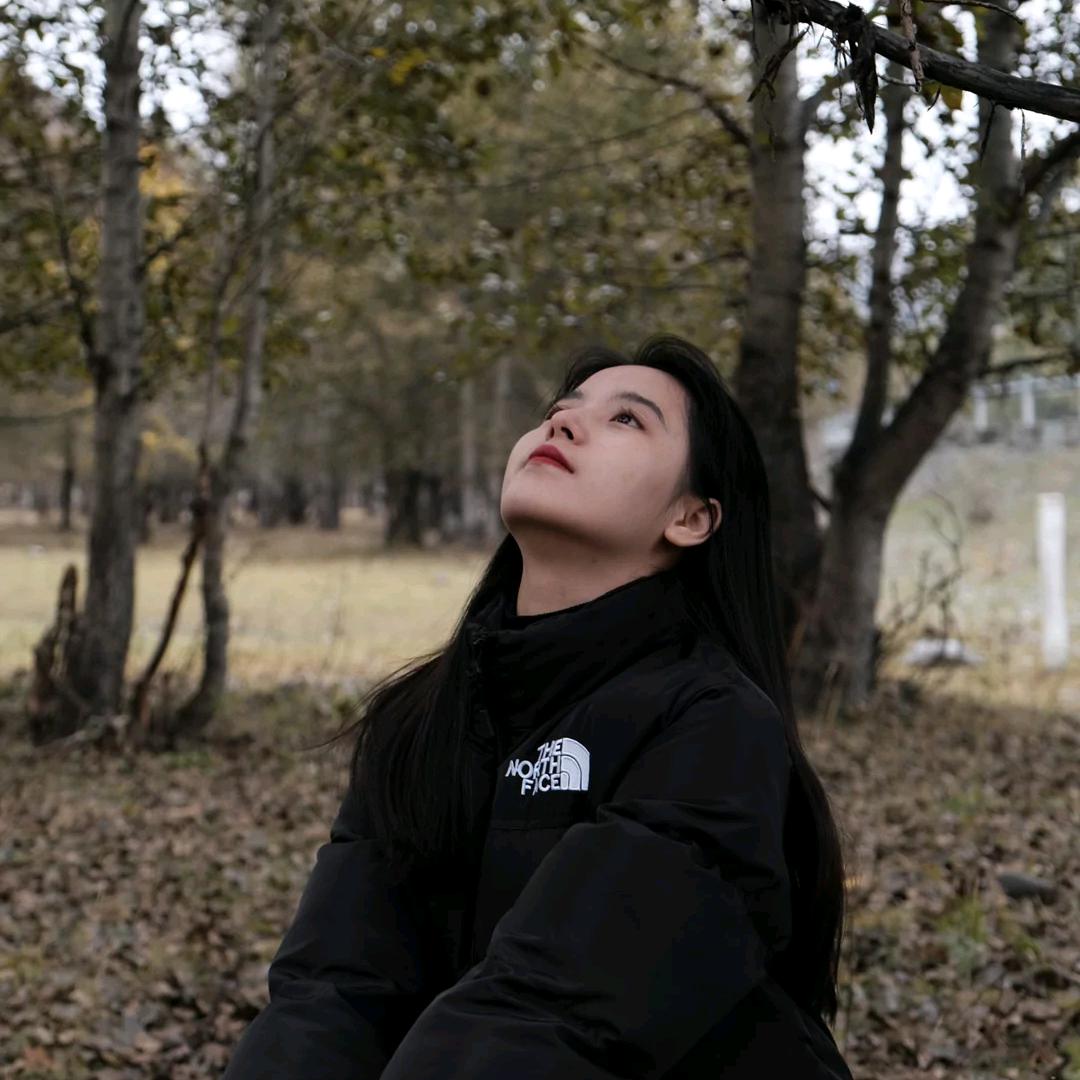 王熙凤-