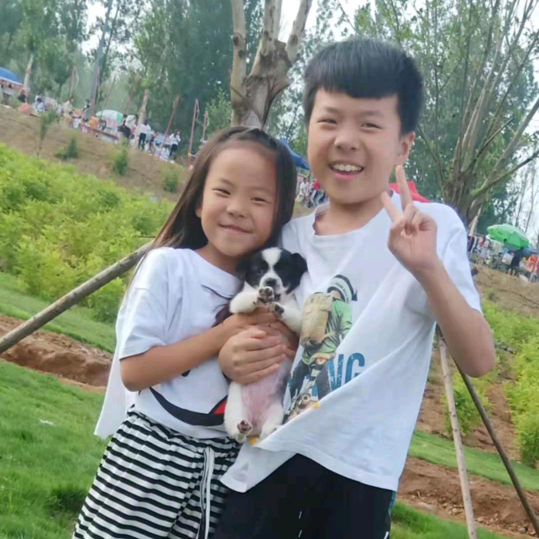 洛宁梁锋专业大板薄贴工艺