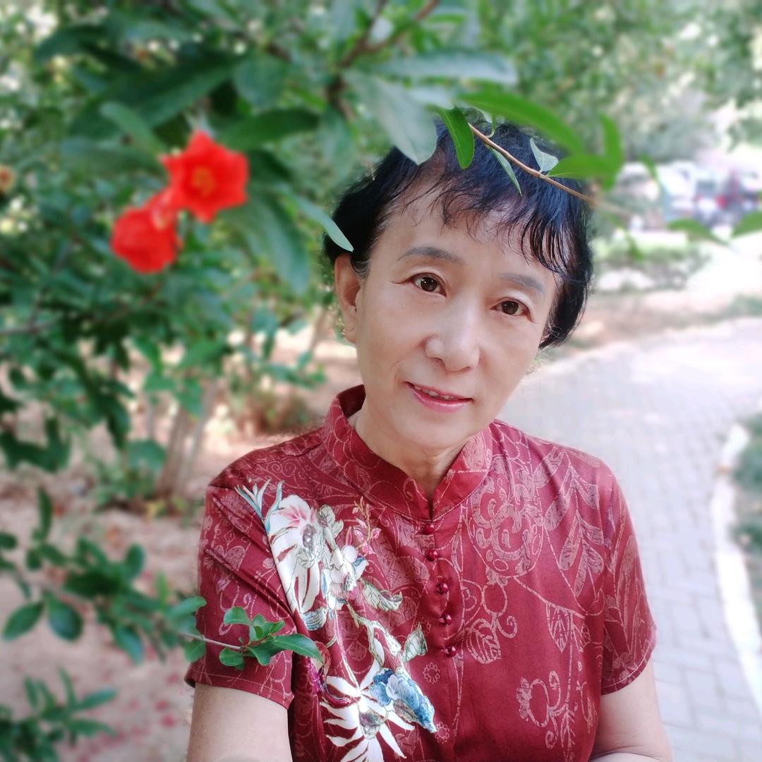 常青树
