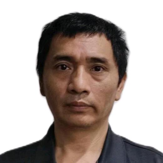 摩登自然风