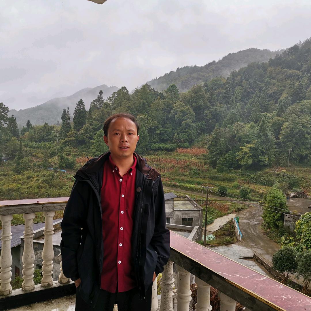 发辉