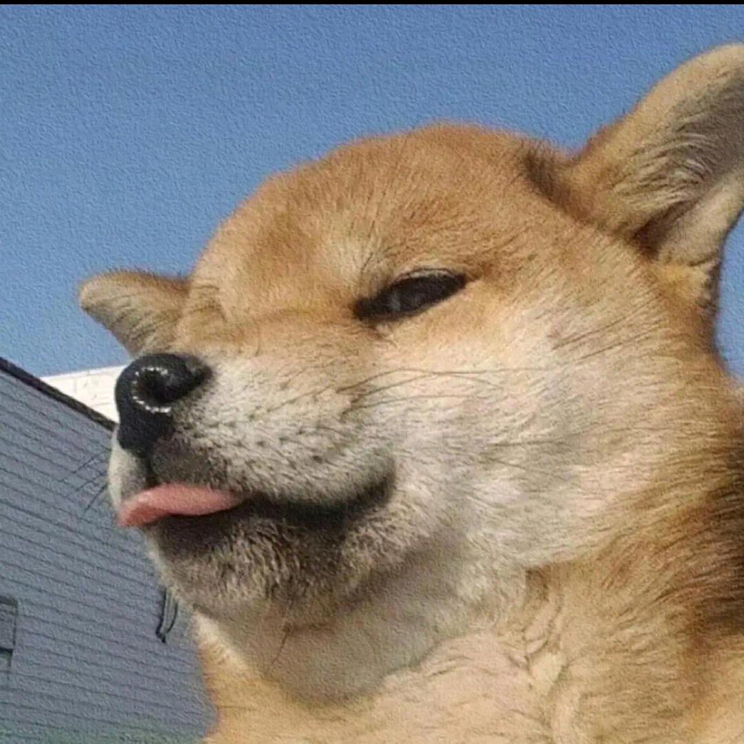 来吃点好吃的