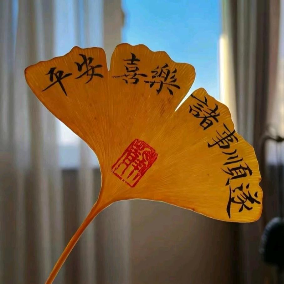 ℳღ一切᭄ꦿ꯭꯭დ随缘᭄