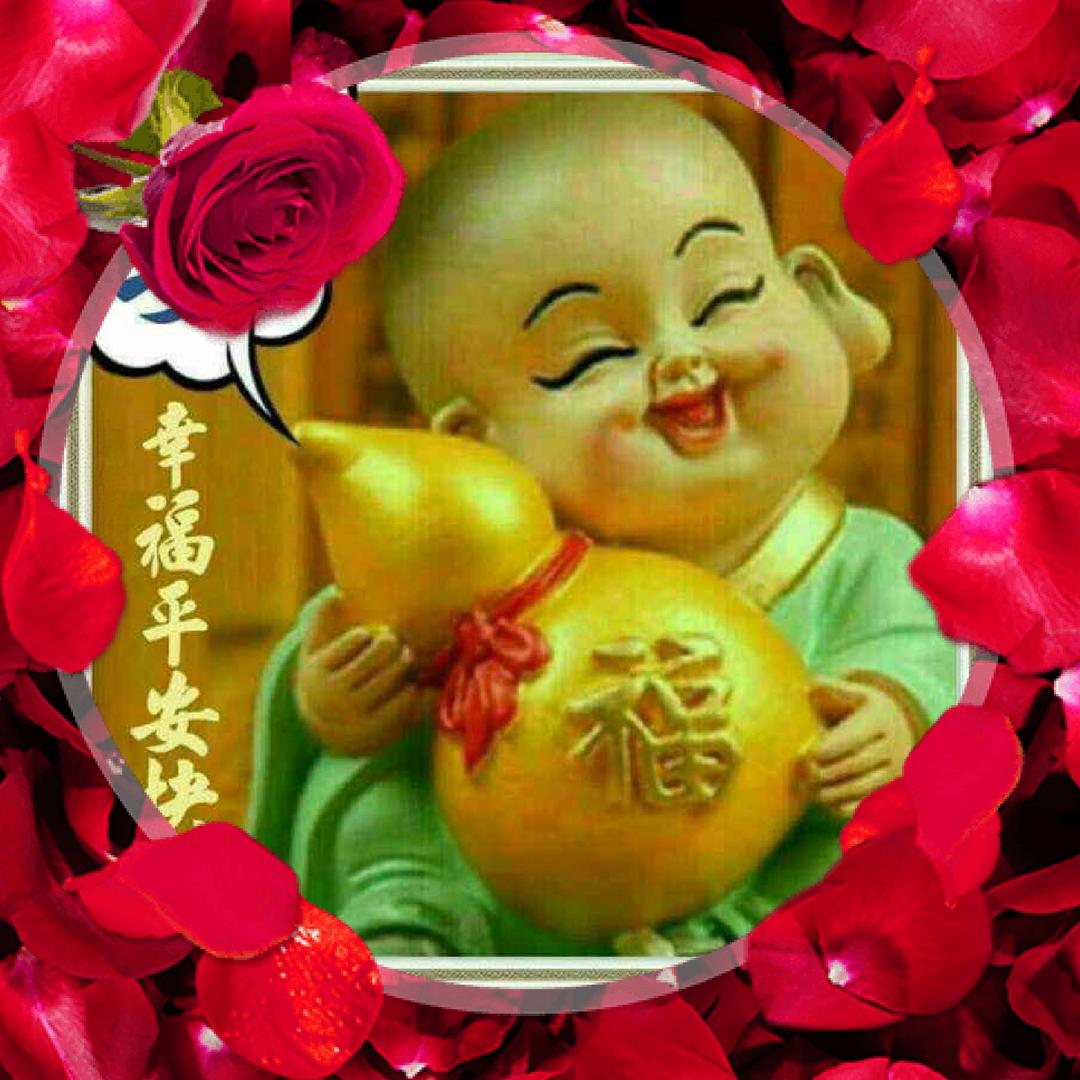 新街口花(拒绝私聊)