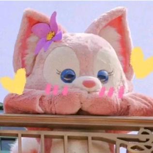 不是猫猫是兔兔