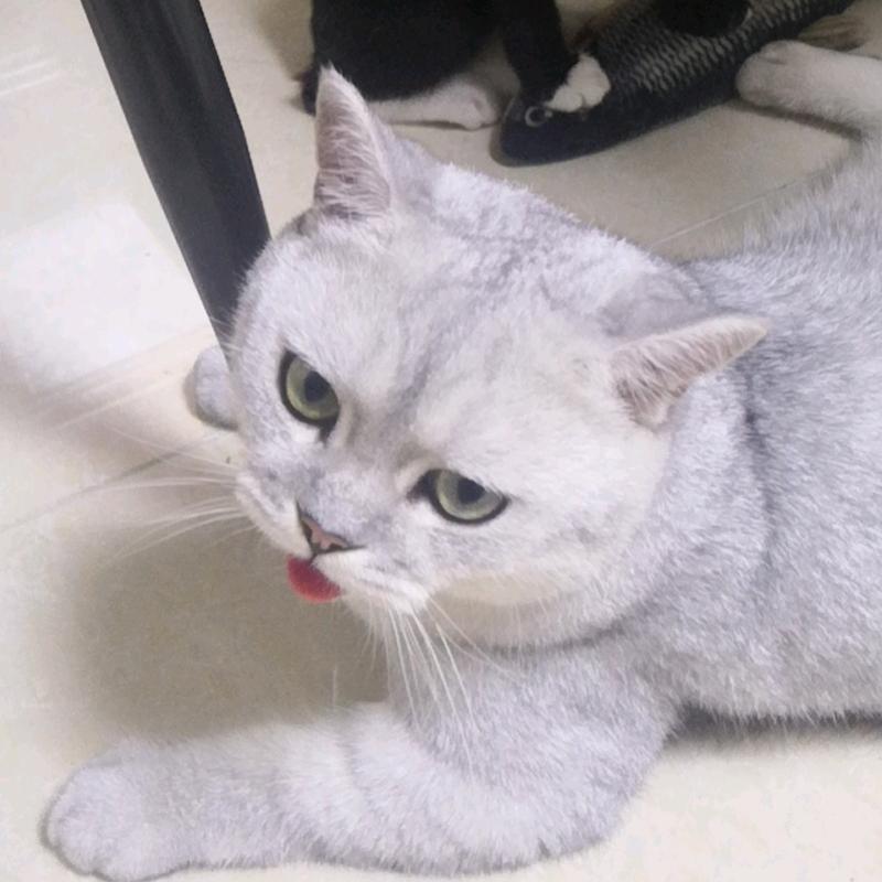 不痛快