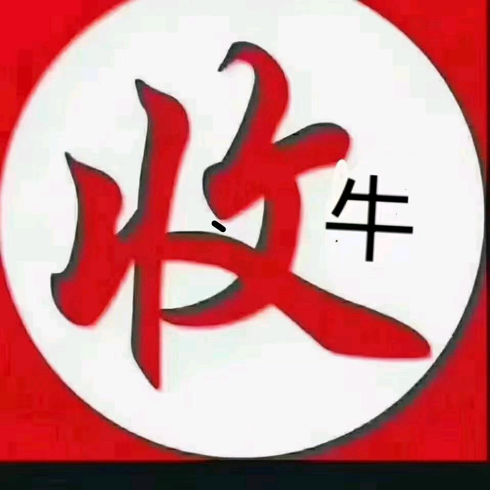 屠企收肥牛 凌浪