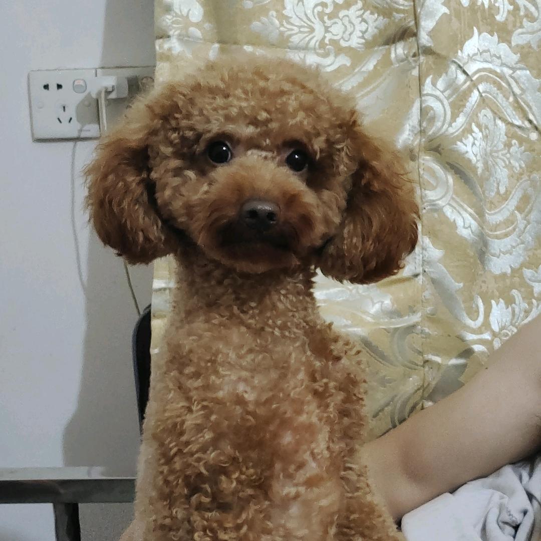 我