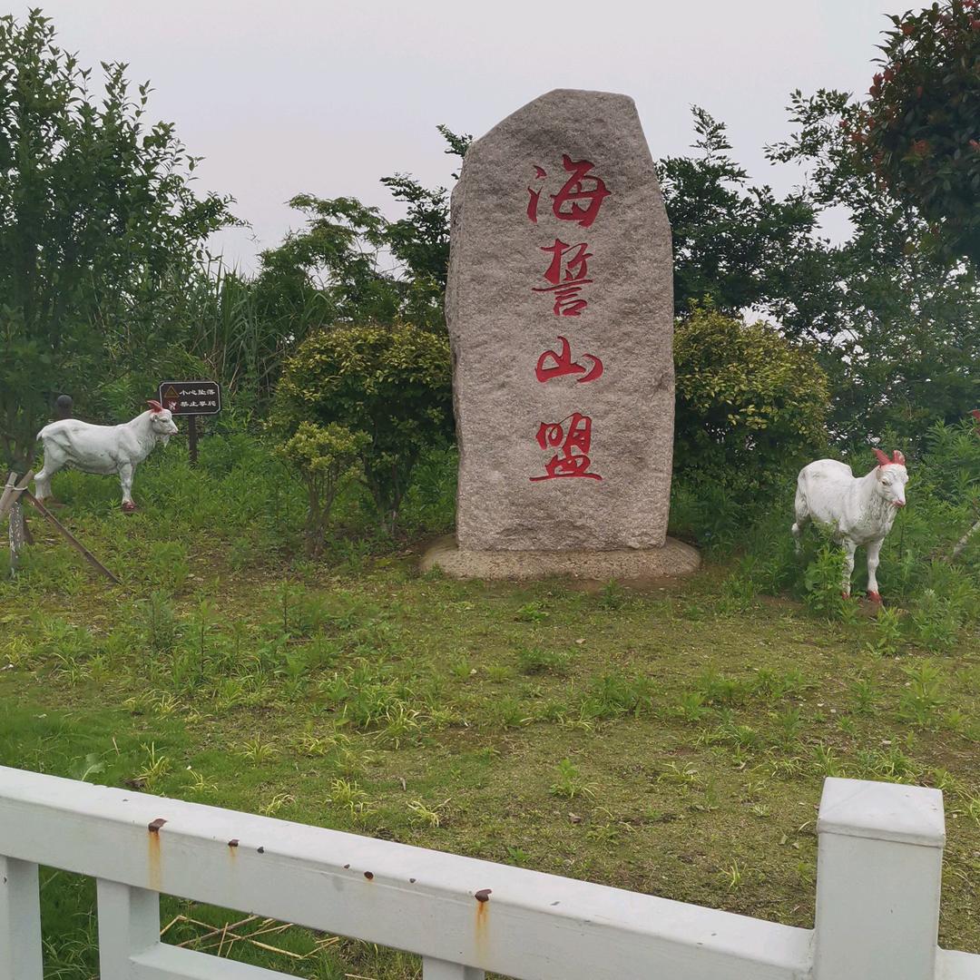 红尘无悔