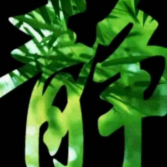 家有虎仔