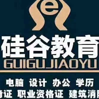 聊城硅谷教育