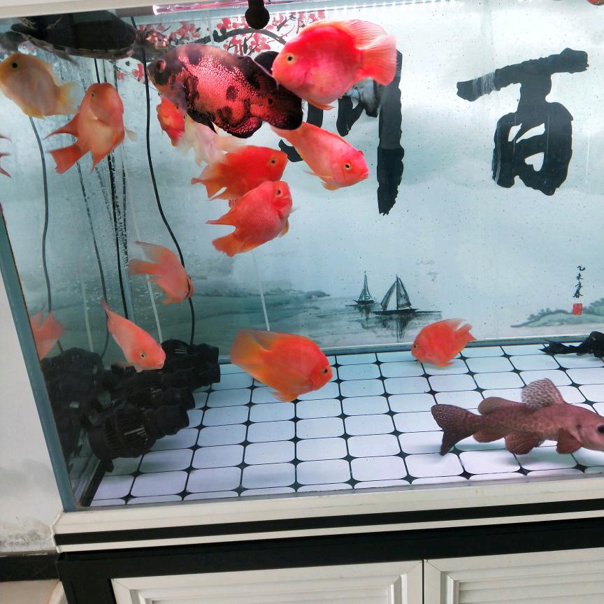 爱我家