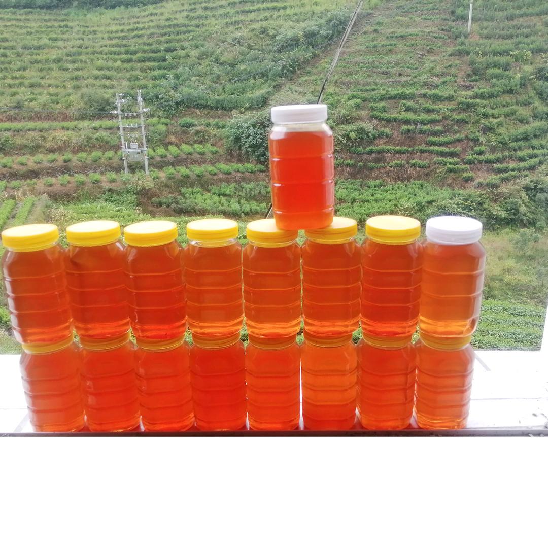 山杨〈爱山歌〉