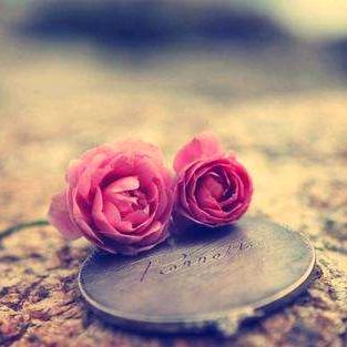 重生之我在工地打镙丝